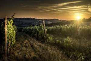 Adelaide. Eighth Best In The World
