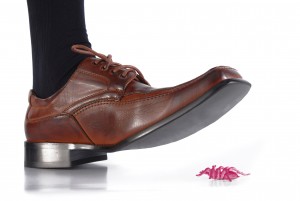 shoes-spider-step-pink