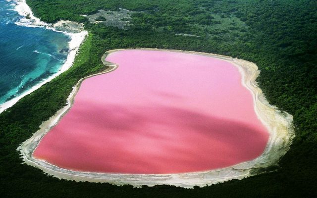Pink Lake, Western Australia