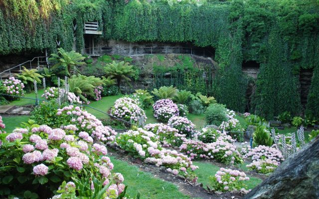 Umpherston Sinkhole, Mount Gambier