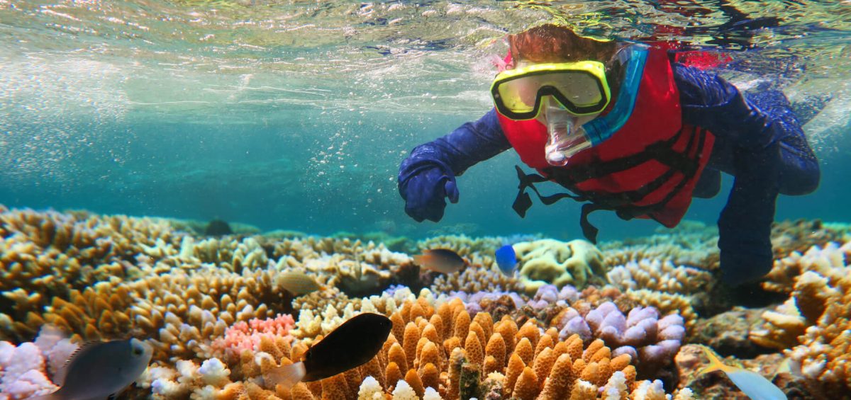 great-barrier-reef-dead-climate-change-child-diving-corals